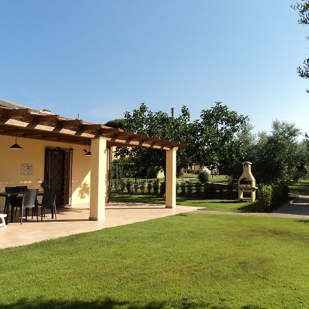 Agriturismo Dallolivo Болгери Экстерьер фото