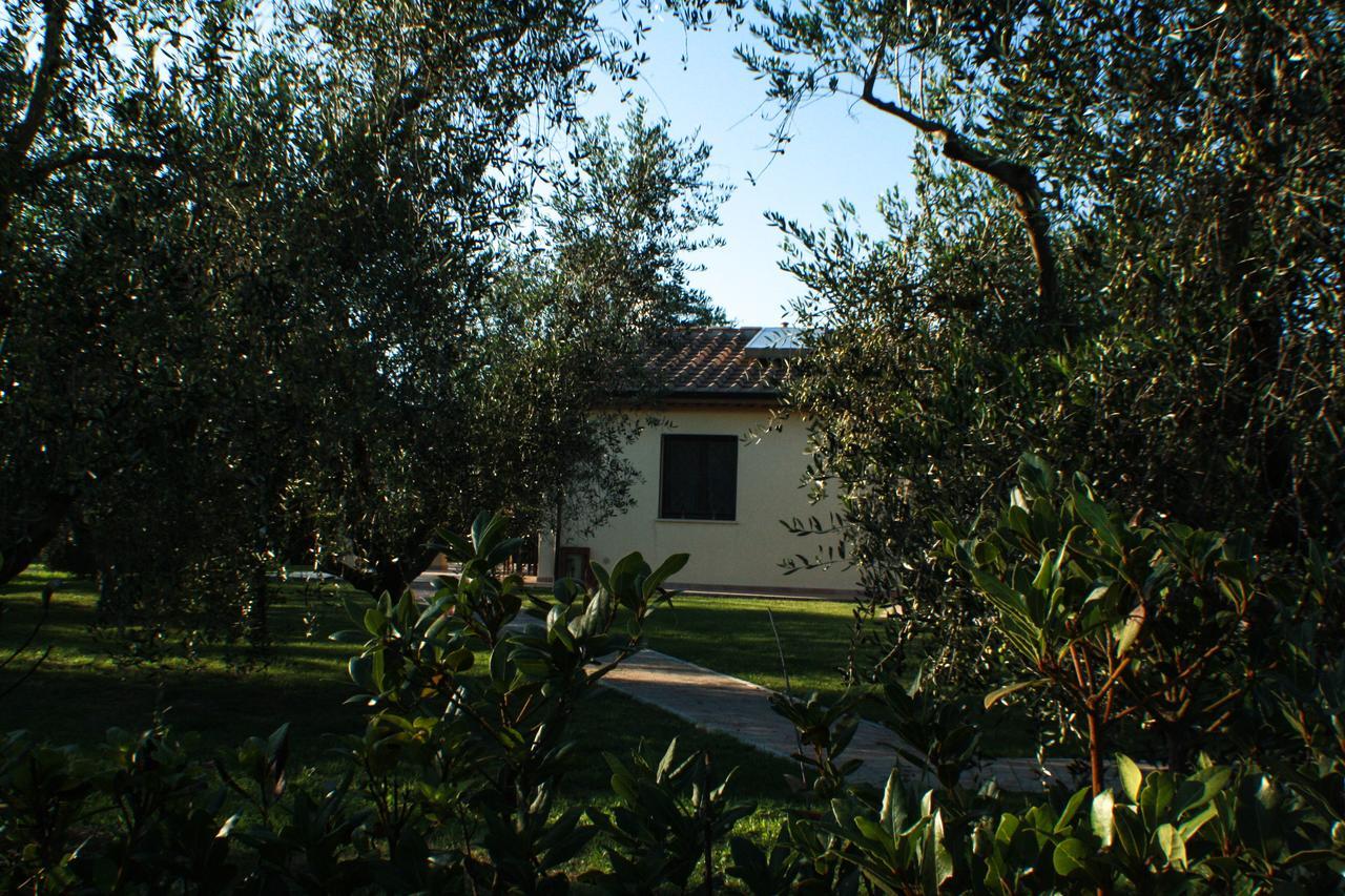 Agriturismo Dallolivo Болгери Экстерьер фото